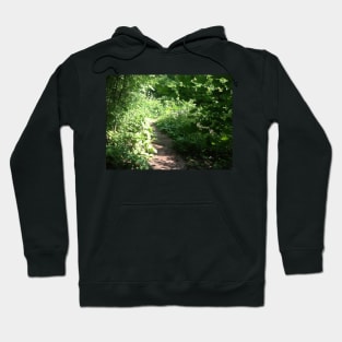 Path in the forest Hoodie